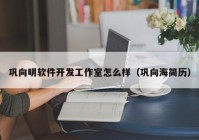 巩向明软件开发工作室怎么样（巩向海简历）