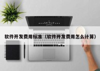 软件开发费用标准（软件开发费用怎么计算）